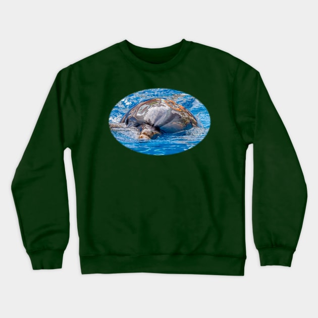 Dolphin Crewneck Sweatshirt by dalyndigaital2@gmail.com